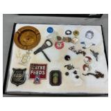 Showcase Box (Cracked Glass) With Vintage Pins,