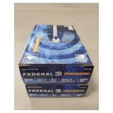 (10) Rounds 12 Gauge Buckshot Ammo