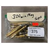 (16) Empty .300 Win. Mag Shells