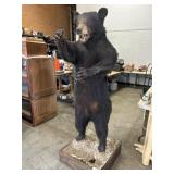 Standing Black Bear Mount