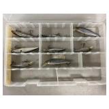 (8) Minnow Jerkbaits In Case