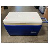 Igloo Cooler
