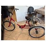 Sun Traditional Trike