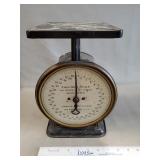 Vintage Columbia Family Scale
