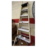 werner ladder