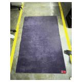 purple classroom rug 3x5