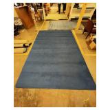 Large Blue Classroom rug 12x8