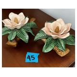 set of magnolia flowers, handpainted