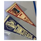 2 Chincoteague Virginia Felt Pennants