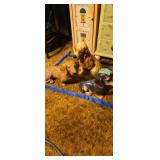 Dog figures