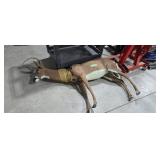 Whitetail deer