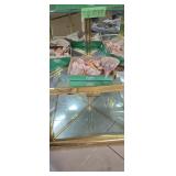 Two Box Lots Of Ornate Seashells