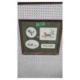 Framed Mallard print 19x 17