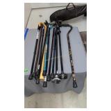 Lot of canes