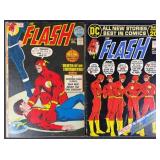 Flash #215 & 217 1972 DC Comic Books