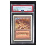 PSA 8 1993 MTG Unlimited Plateau