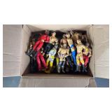 WWE Wrestling Action Figures