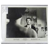 Original 1967 The Graduate Movie Still Photo
