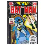 Batman #246 1972 Key DC Comic Book
