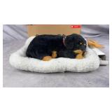 Perfect Petzzz Rottweiler Bundle