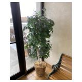Artificial Ficus Tree in Wicker Basket