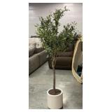 CGH Lifelike Olive Tree Single Trunk Design