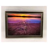Nathan Satran '76 Sunset Landscape Framed Print