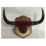 Horn & Hoof Mount
