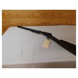 Winchester 1906 .22