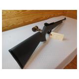 Remington 597 .22