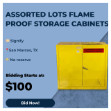 Flame Proof Cabinets