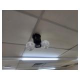 Jelly Cosmos Ball Light