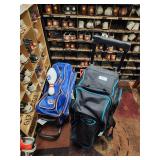 Bowling ball bags