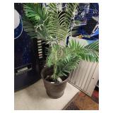 Planters