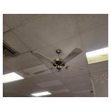 Ceiling fans