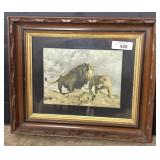 Signed Drake 1905 Lion Art Print.