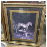 Vintage Gold Framed Cheetah Print.