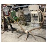 Elk Antlers.