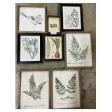 Framed Plant & Bird Prints.
