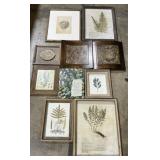 Botanical Prints.