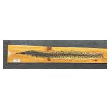 Taxidermy Rattlesnake Skin.