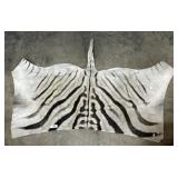 Burchellï¿½s (Plains) Zebra Taxidermy Hide.