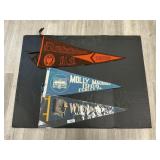 3 Vintage Fabric Souvenir Pennants.