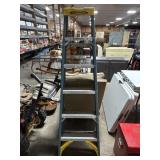 6ft Werner Ladder.