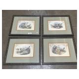 4 Framed Bird Prints.