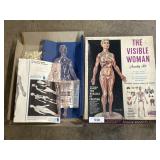 1960ï¿½s Renwal Visible Woman Model Kit.