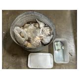 Seashells, Fossils, & Galvanized Tub.