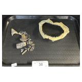 Shark Jaw & Teeth.