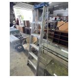 6ft Aluminum Ladder.