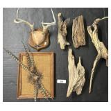 Drift Wood, Deer Antlers, Pheasant Feathers.